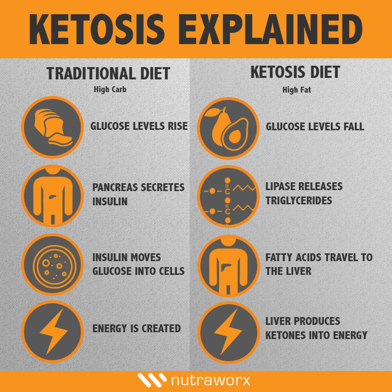 Getting Into Ketosis In 24 Hours