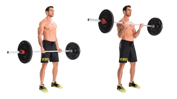 Barbell biceps curl