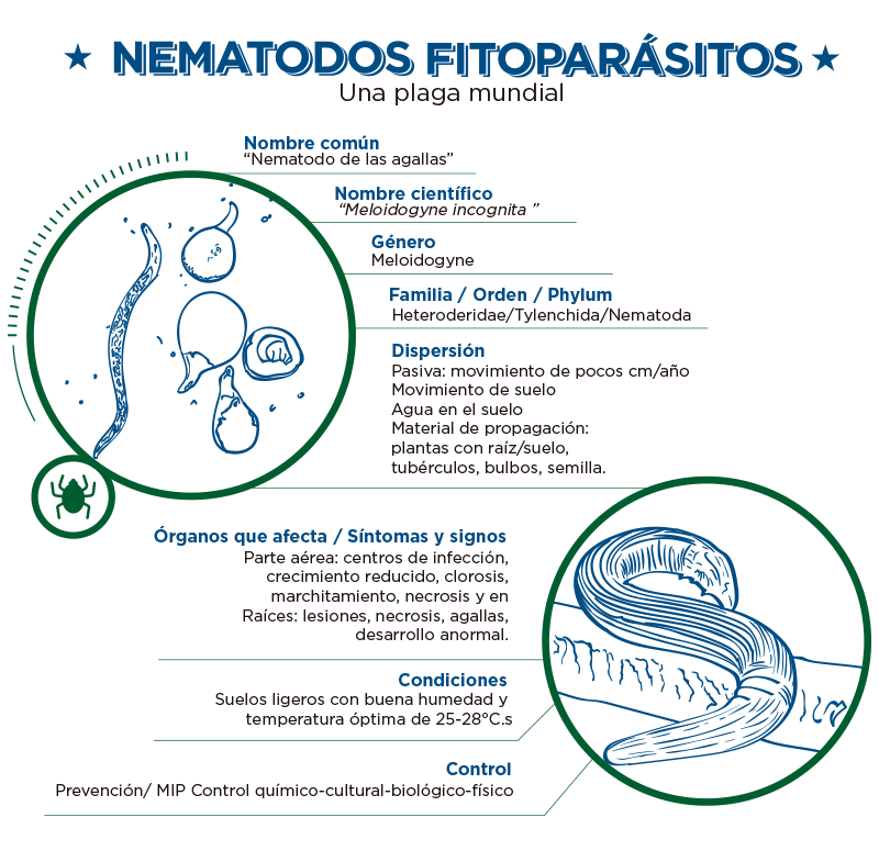 descripcion nematodos fitoparasitarios