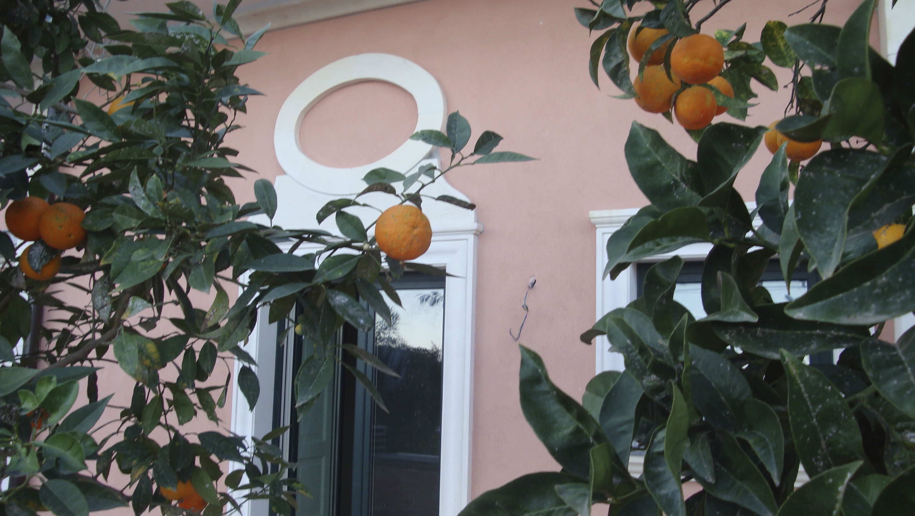 Elementos arquitectonicos