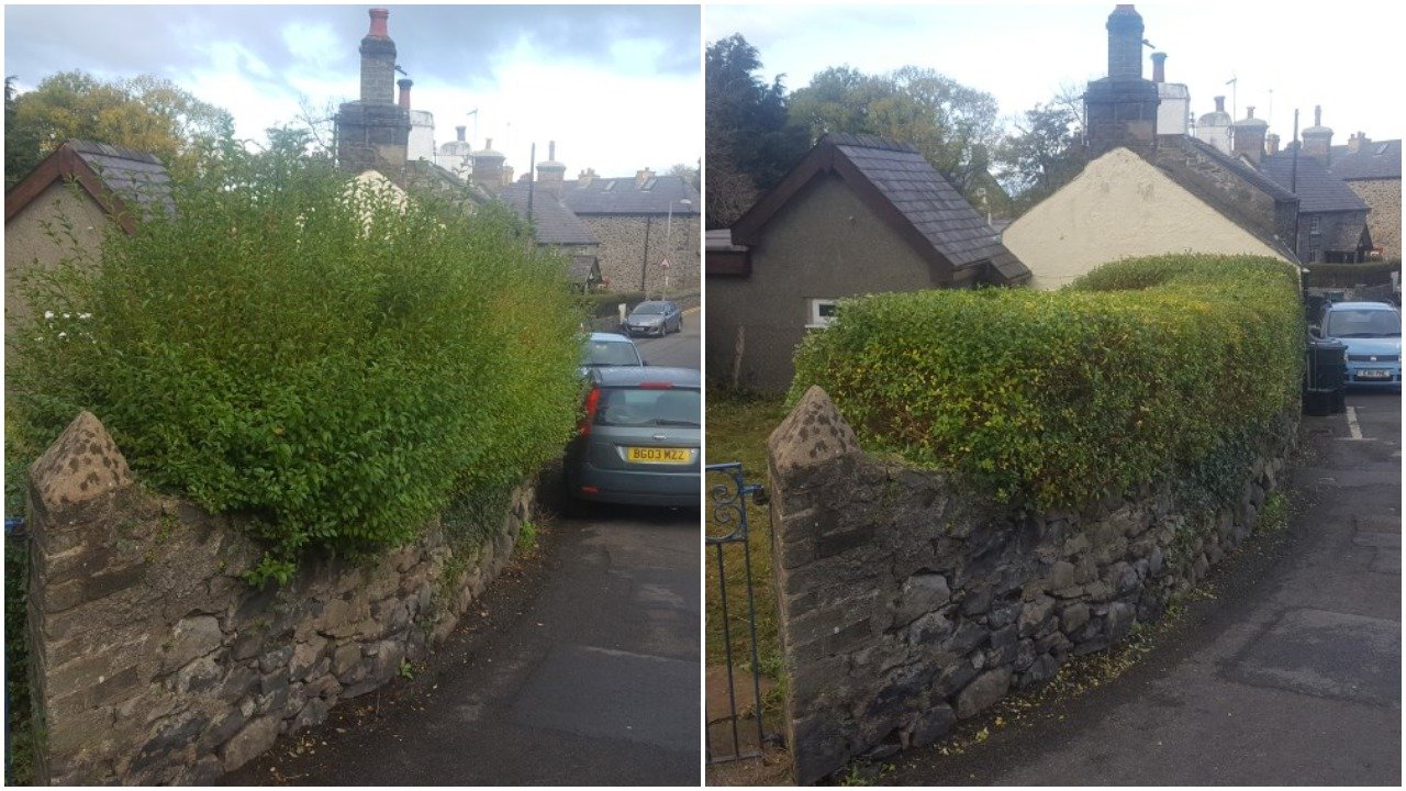Hedge Cutting before and after - First Cut Gardening Services