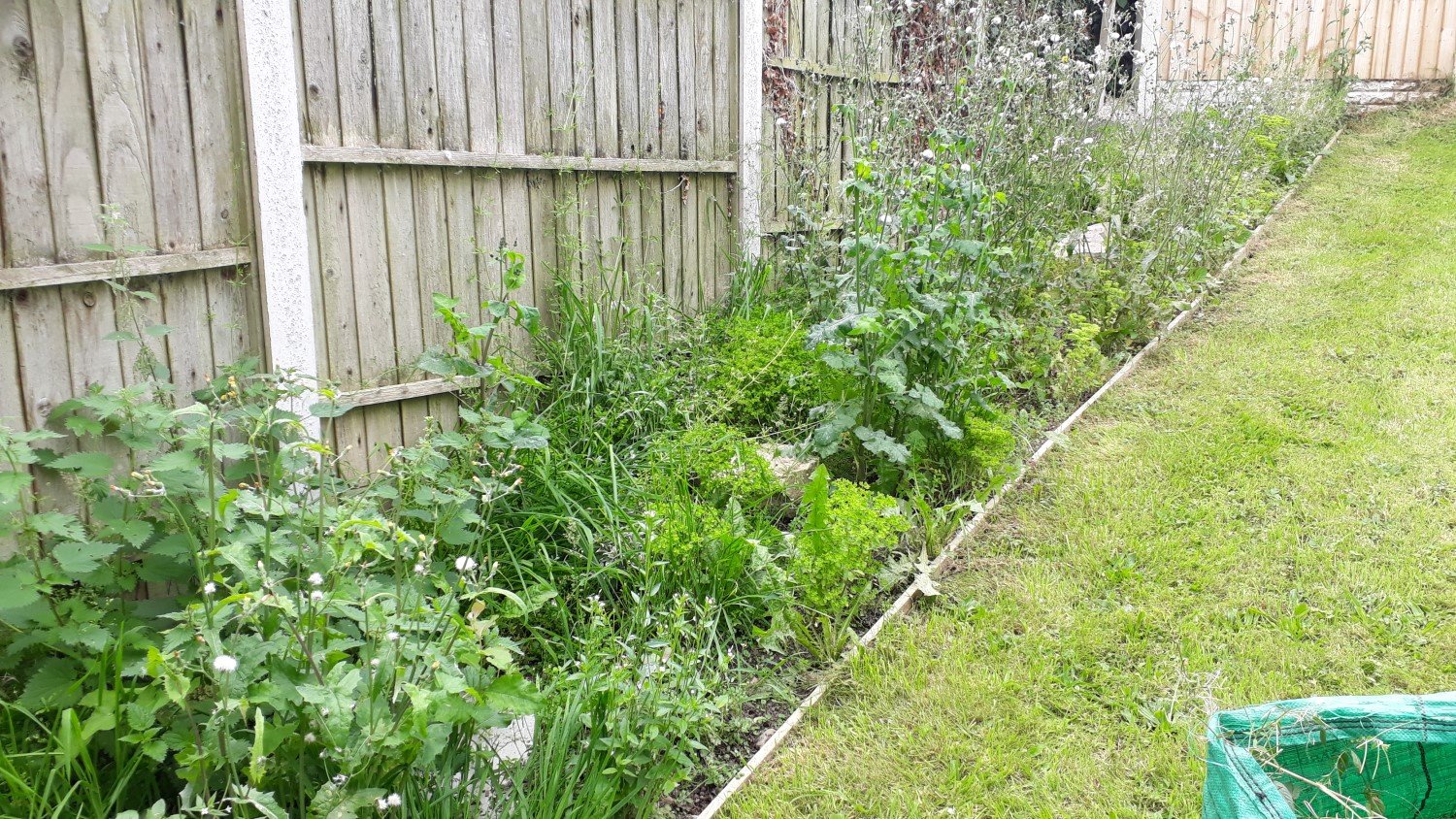 Maintaining Beds and Borders - First Cut Gardening Services