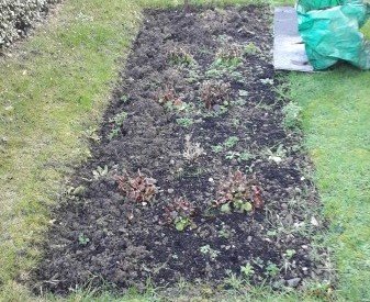Planting Spring Beds & Borders - First Cut Gardening Services