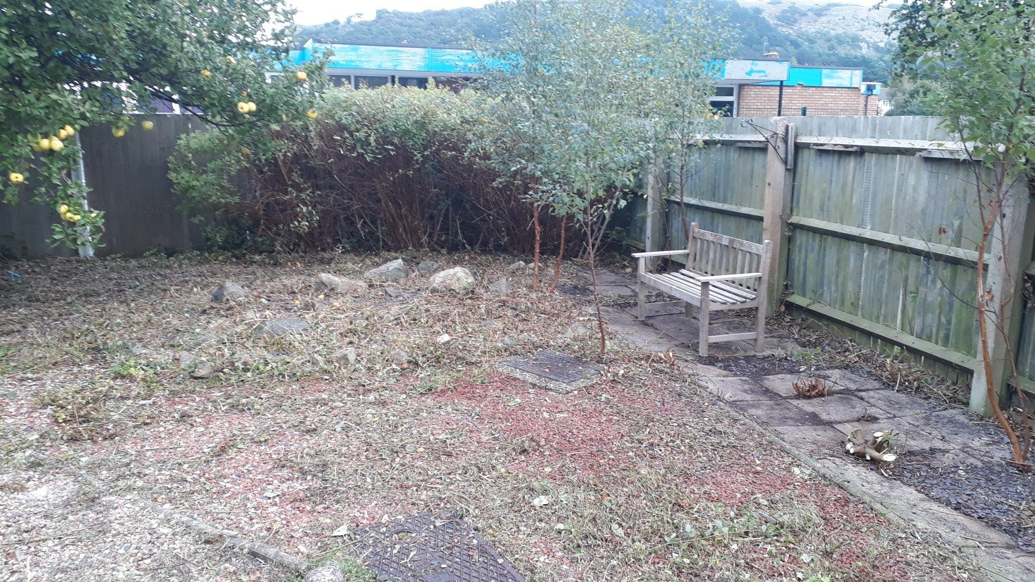 Cut and Clear Overgrown Garden, picture of work completed