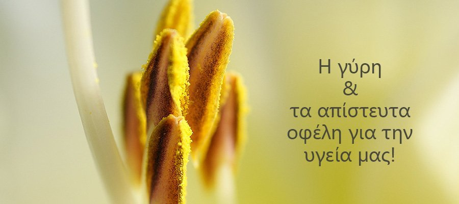 Γύρη ορεινή φρέσκια Ταϋγέτου 230γρ