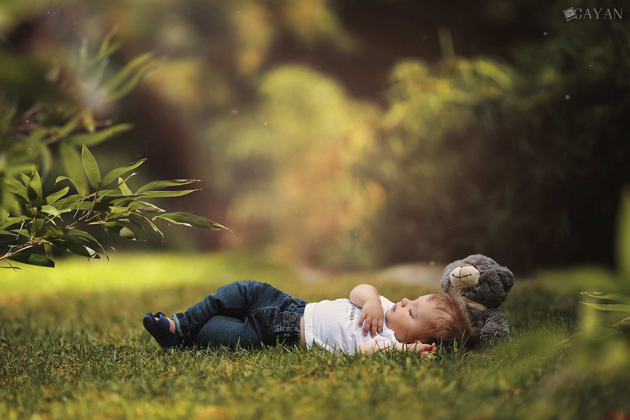 With Noah and Family