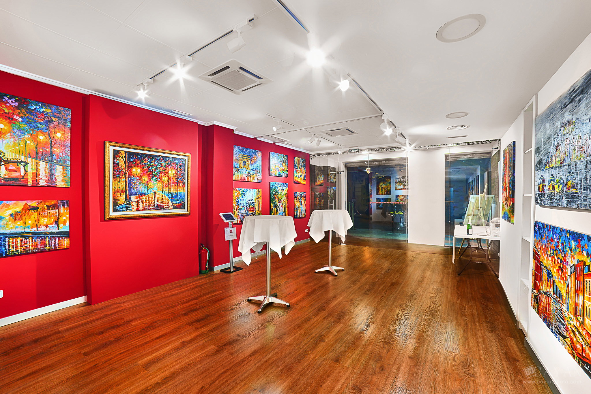 Opening and advertising material of the Leonid Afremov Art Gallery