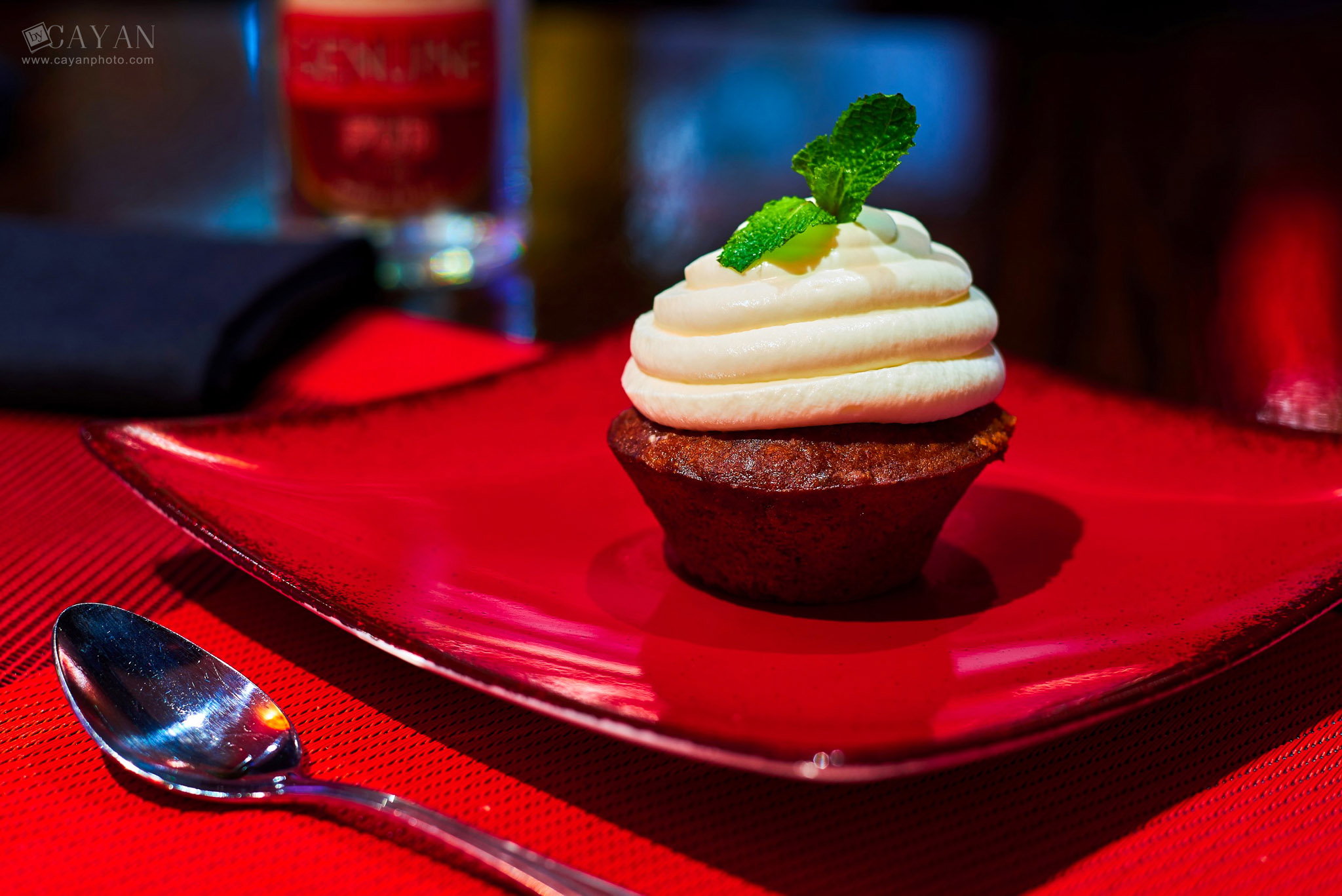 Material for catalogue, menu and promotion of Michael's PUB