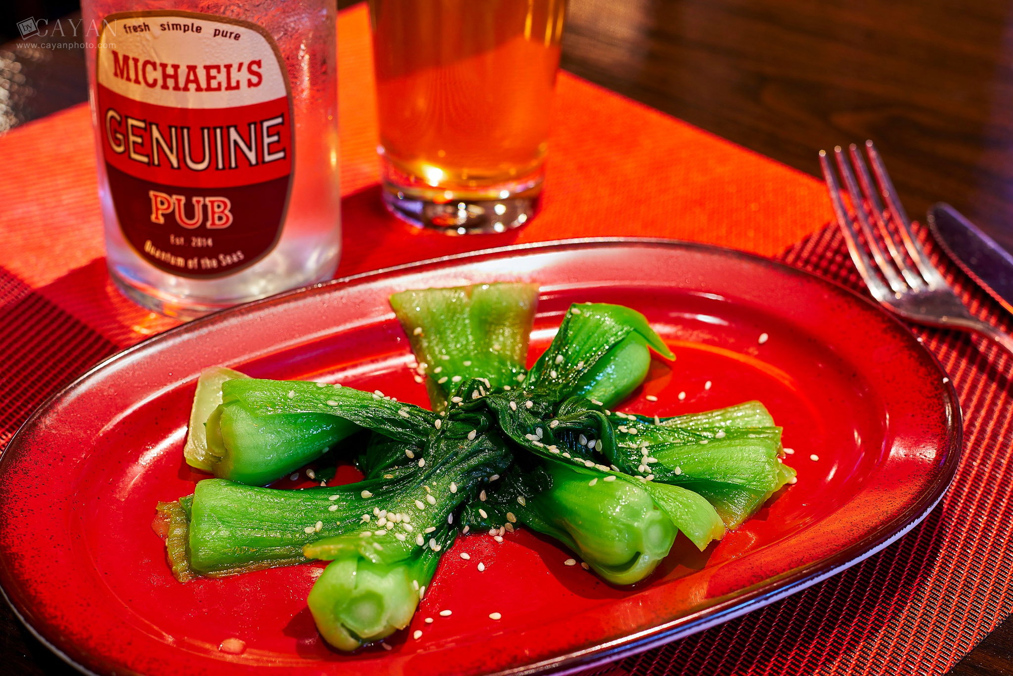 Material for catalogue, menu and promotion of Michael's PUB