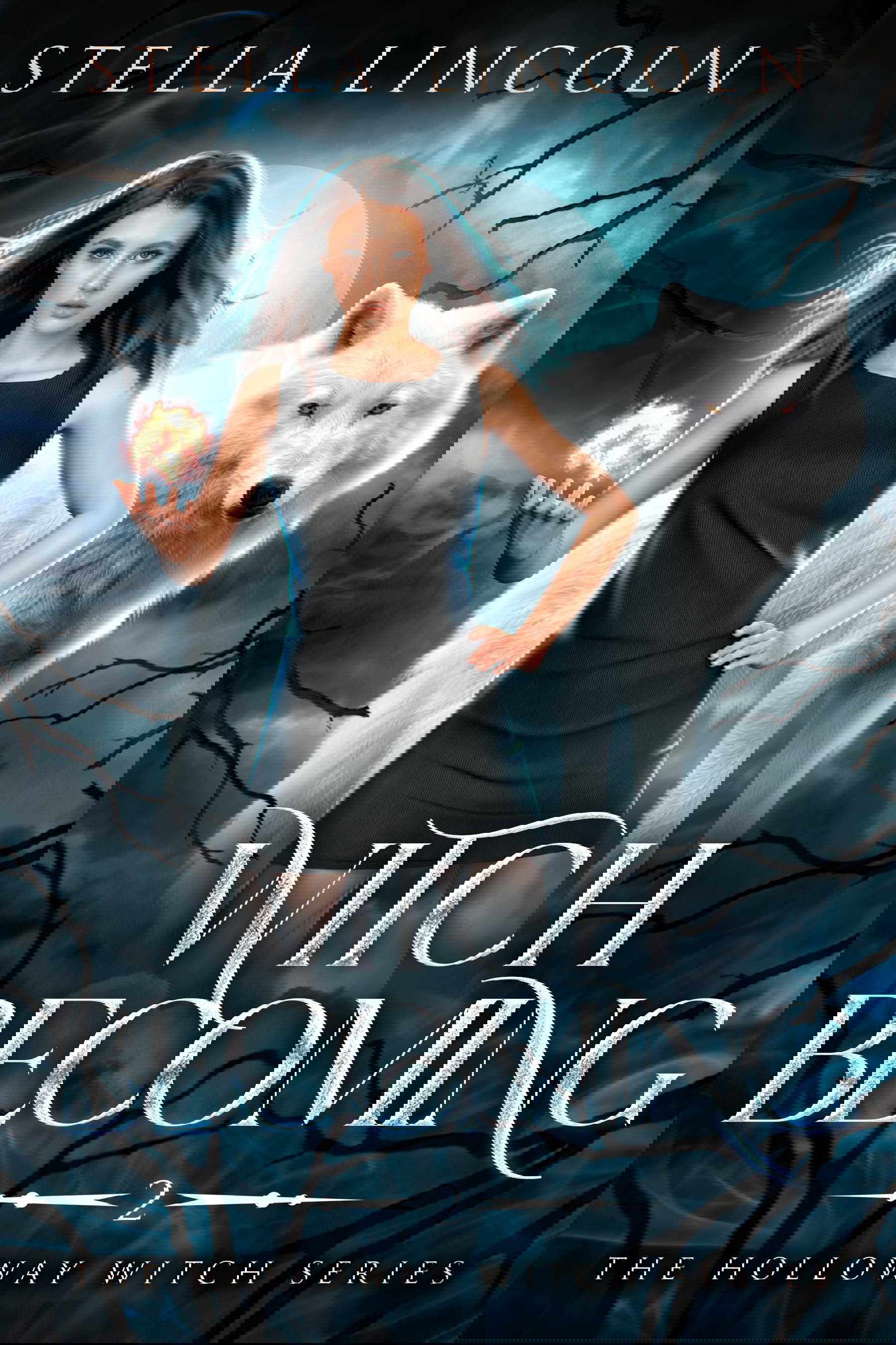 The Holloway Witch series