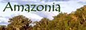 European Working Group on Amazonia