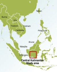 Kalimantan study area