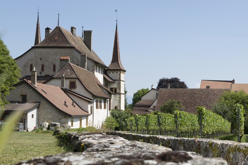 Le Château d'Auvernier