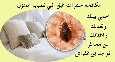 مكافحه البق بجده