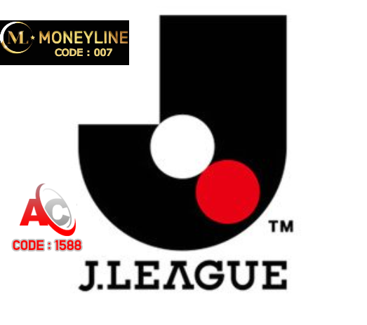 일본축구 J리그 축구분석