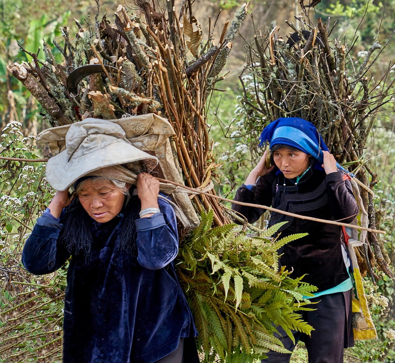women around the world