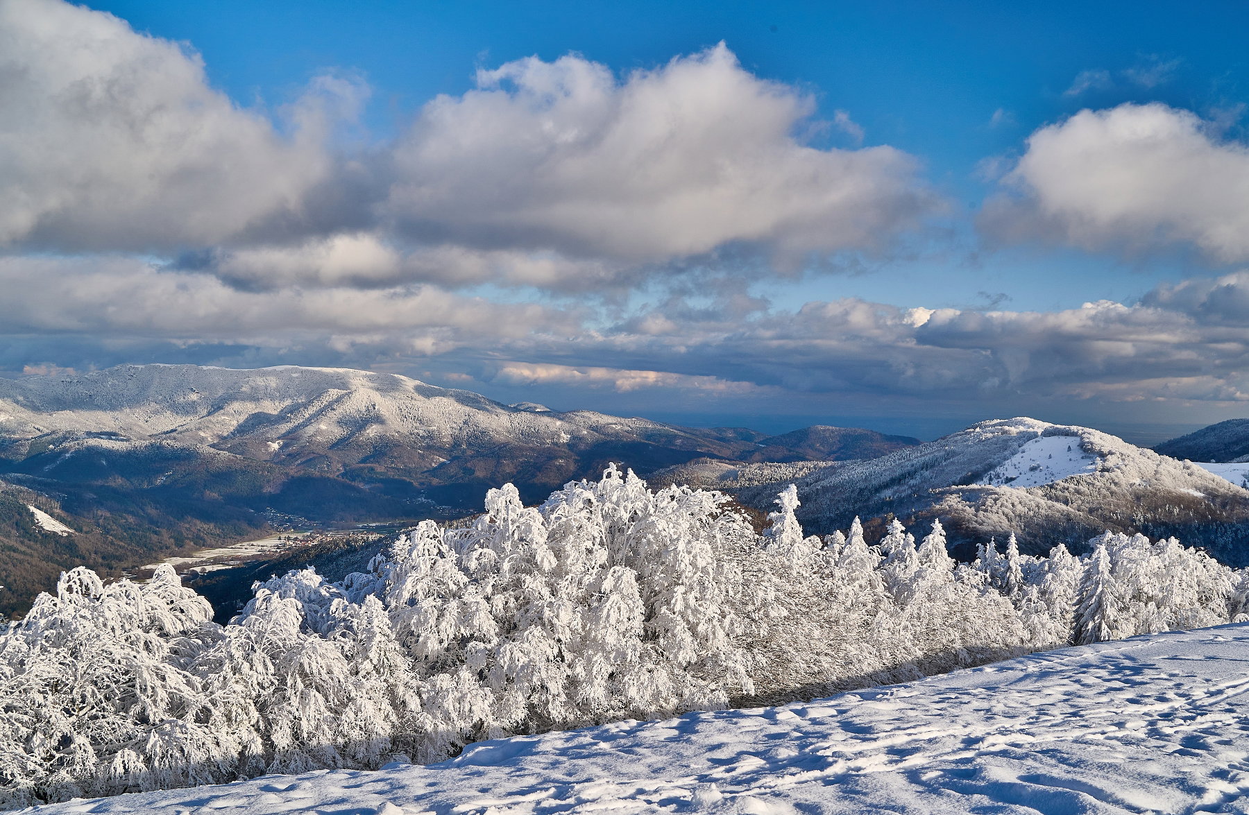 Throughout the seasons