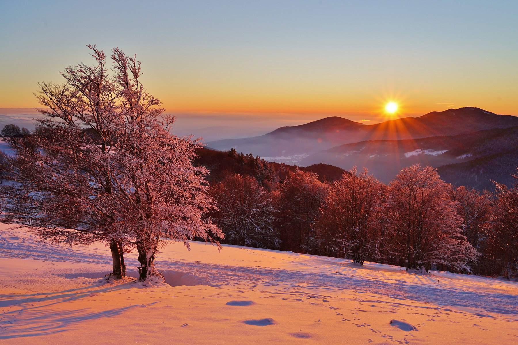 Throughout the seasons