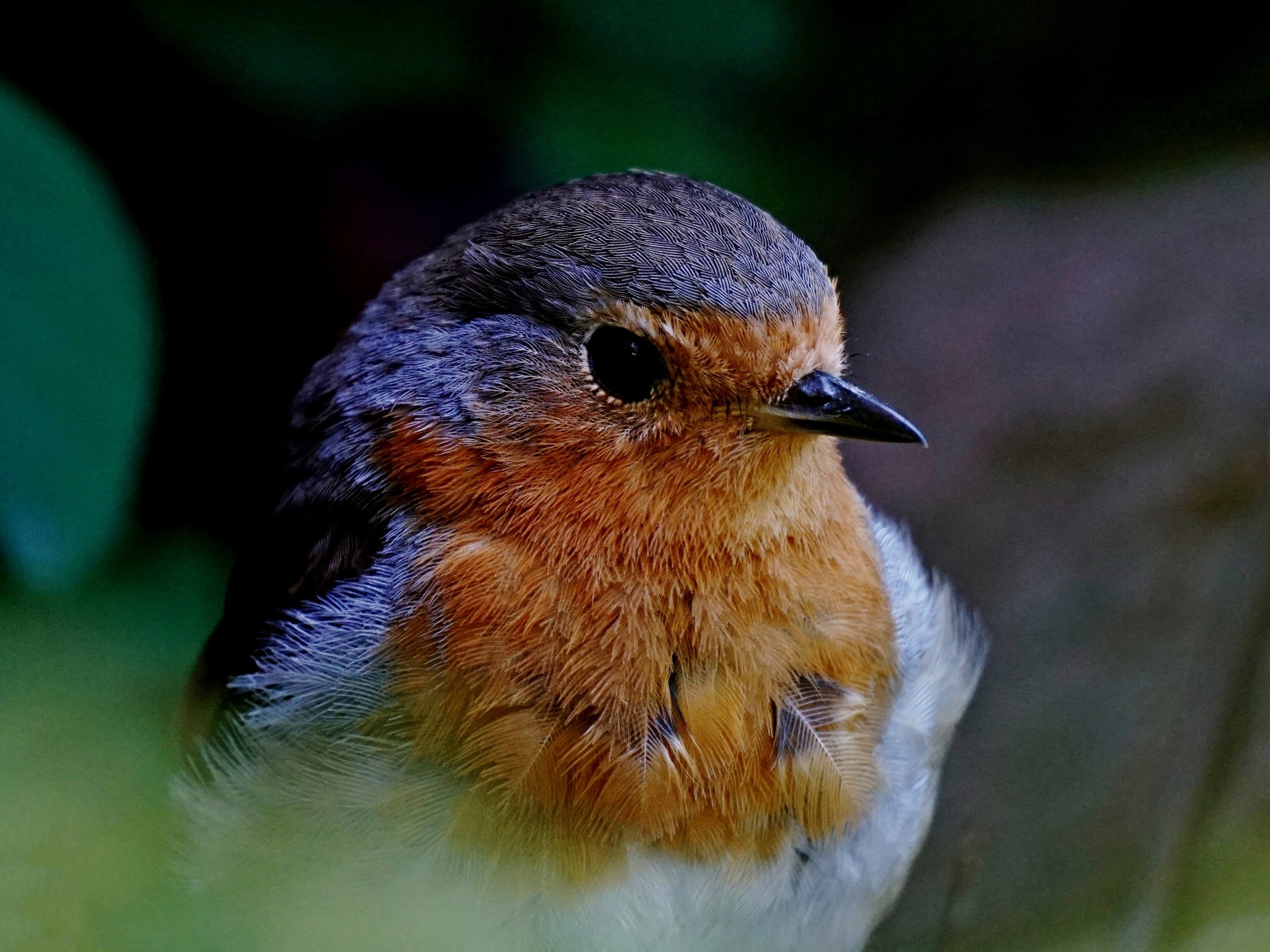 Throughout the seasons