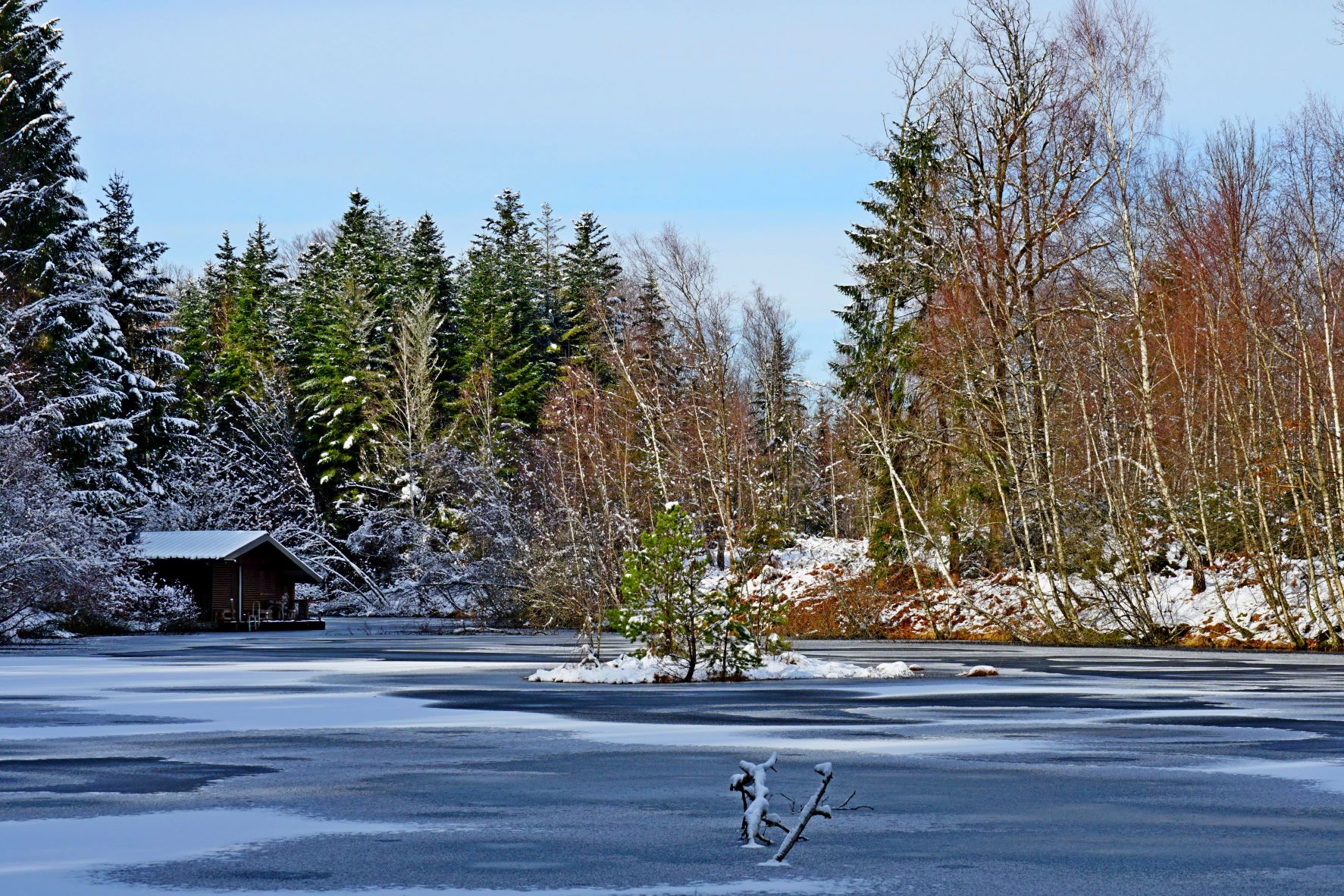 Throughout the seasons