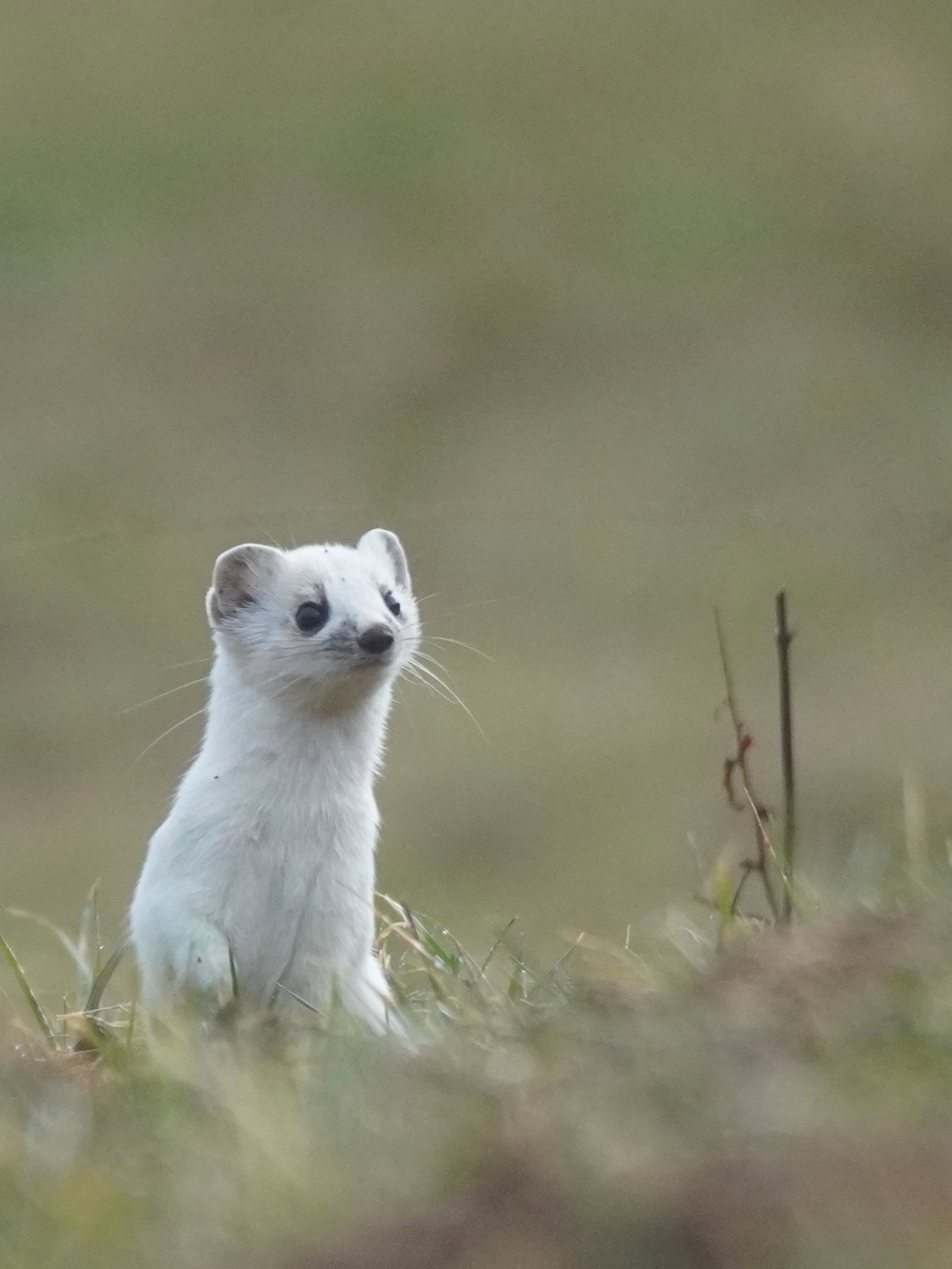 Throughout the seasons