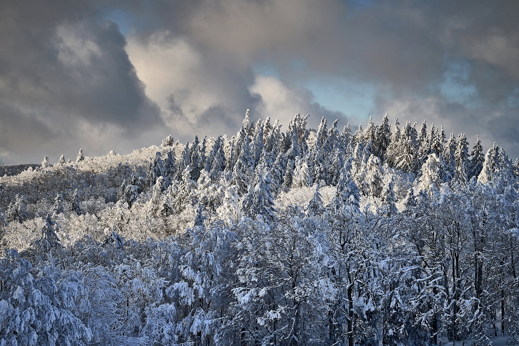 Throughout the seasons