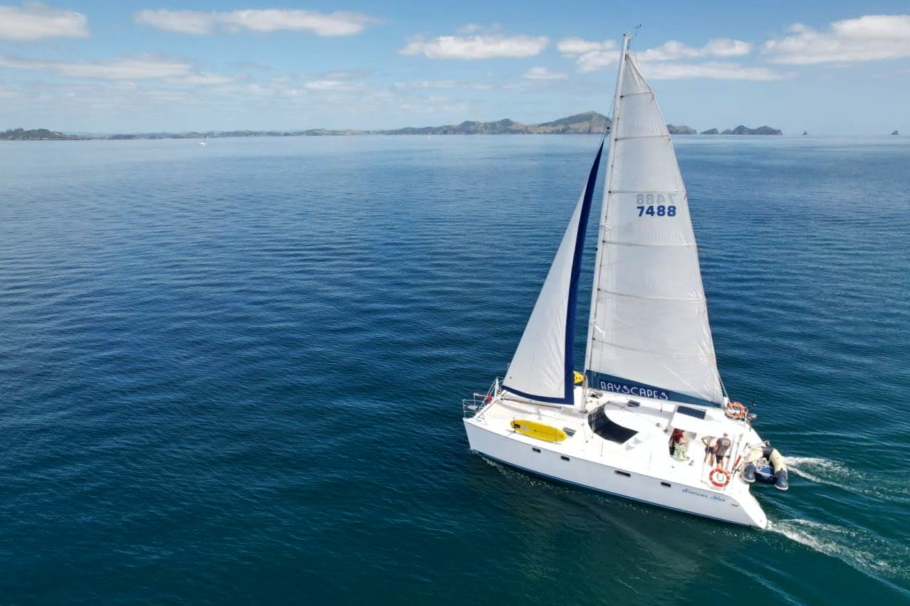 Sailing Catamaran Charter in the Bay of Islands, New Zealand