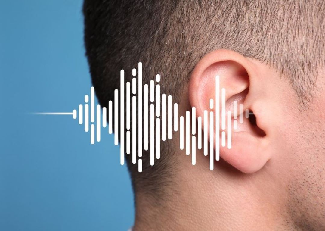 Signs That You Need a Light Switch Repair