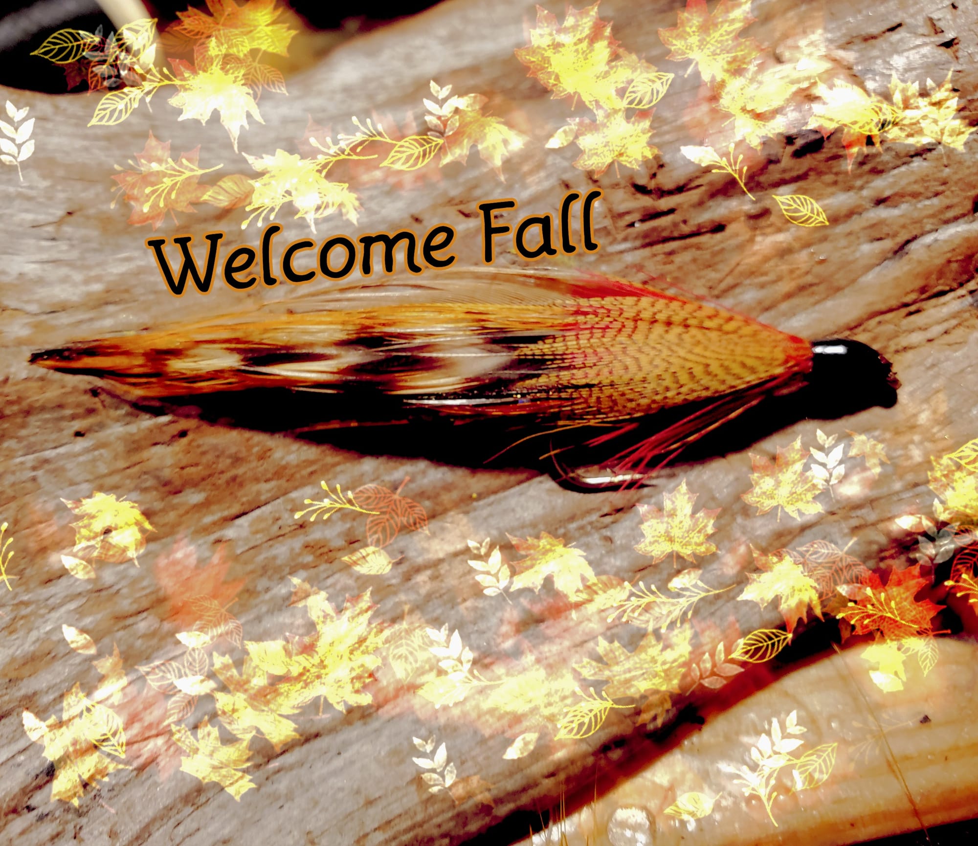 Maine made Fishing Flies