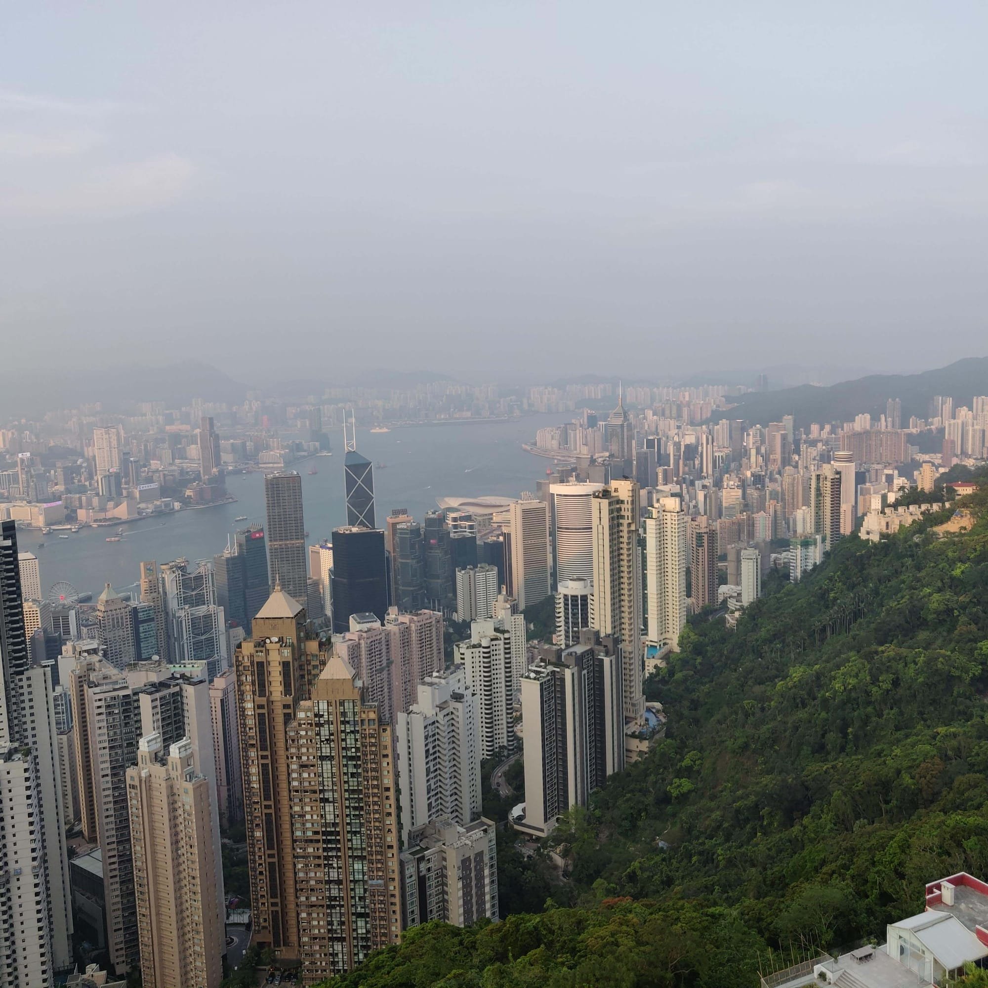 רוית רדיאן, בין ים ושמיים, אימון עסקי, אימון לשינוי, אימון אישי, הונג קונג
