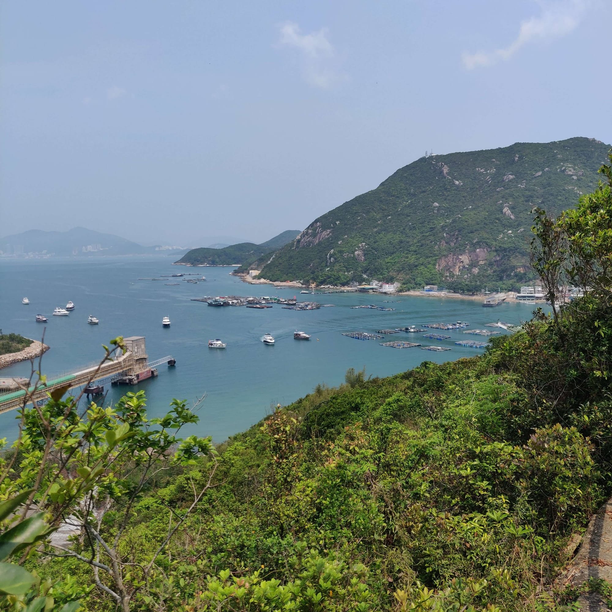 רוית רדיאן, בין ים ושמיים,  אימון אישי, אימון עסקי, אימון לשינוי, הונג קונג
