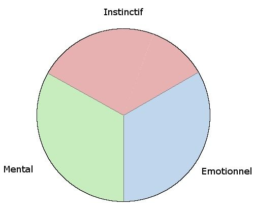 Nous avons tous 3 centres d'intelligence : un centre mental (ici symbolisé en vert), un centre émotionnel (en bleu) et un centre instinctif (en rouge)
