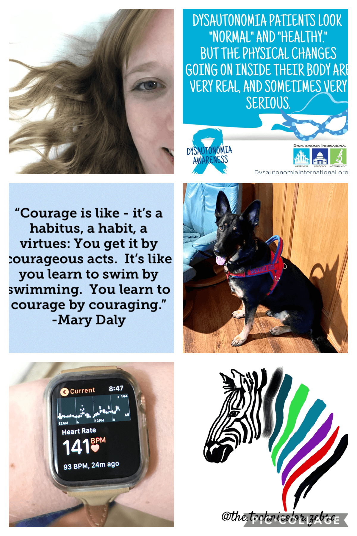 The POTS Experience The Technicolor Zebra