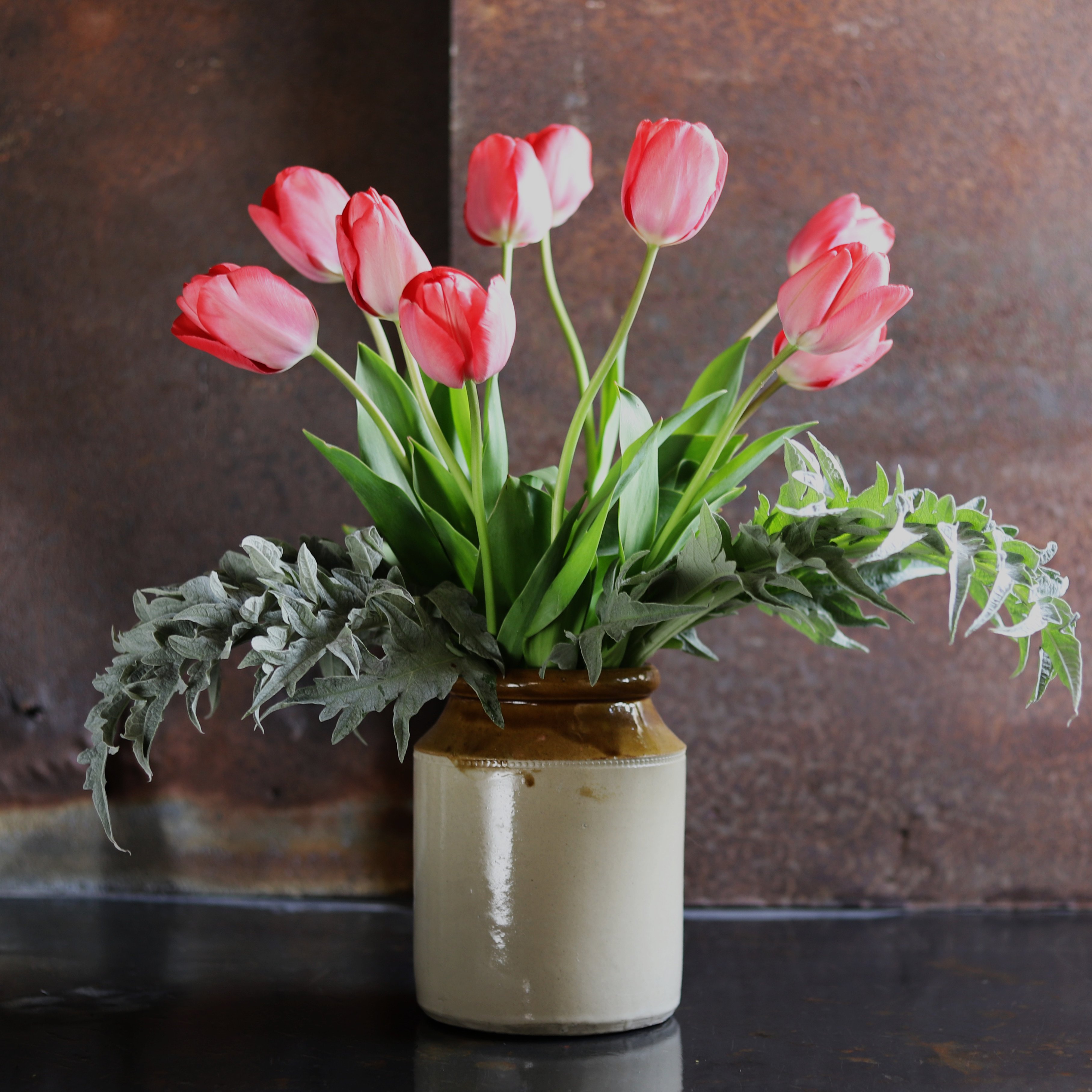 tulips and artichoke leaves in a stunning display