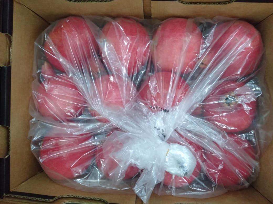 Wonderful Pomegranate