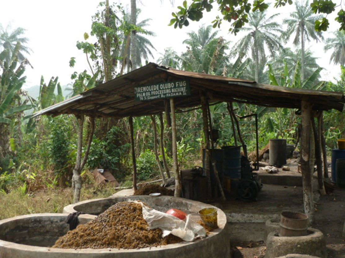 Palm oil processing in South-Western Nigeria