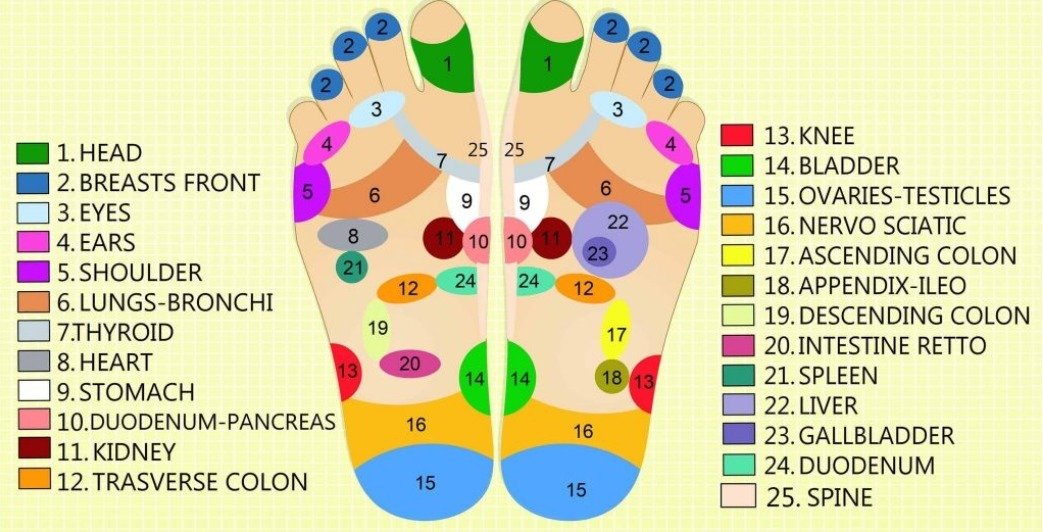 foot chart