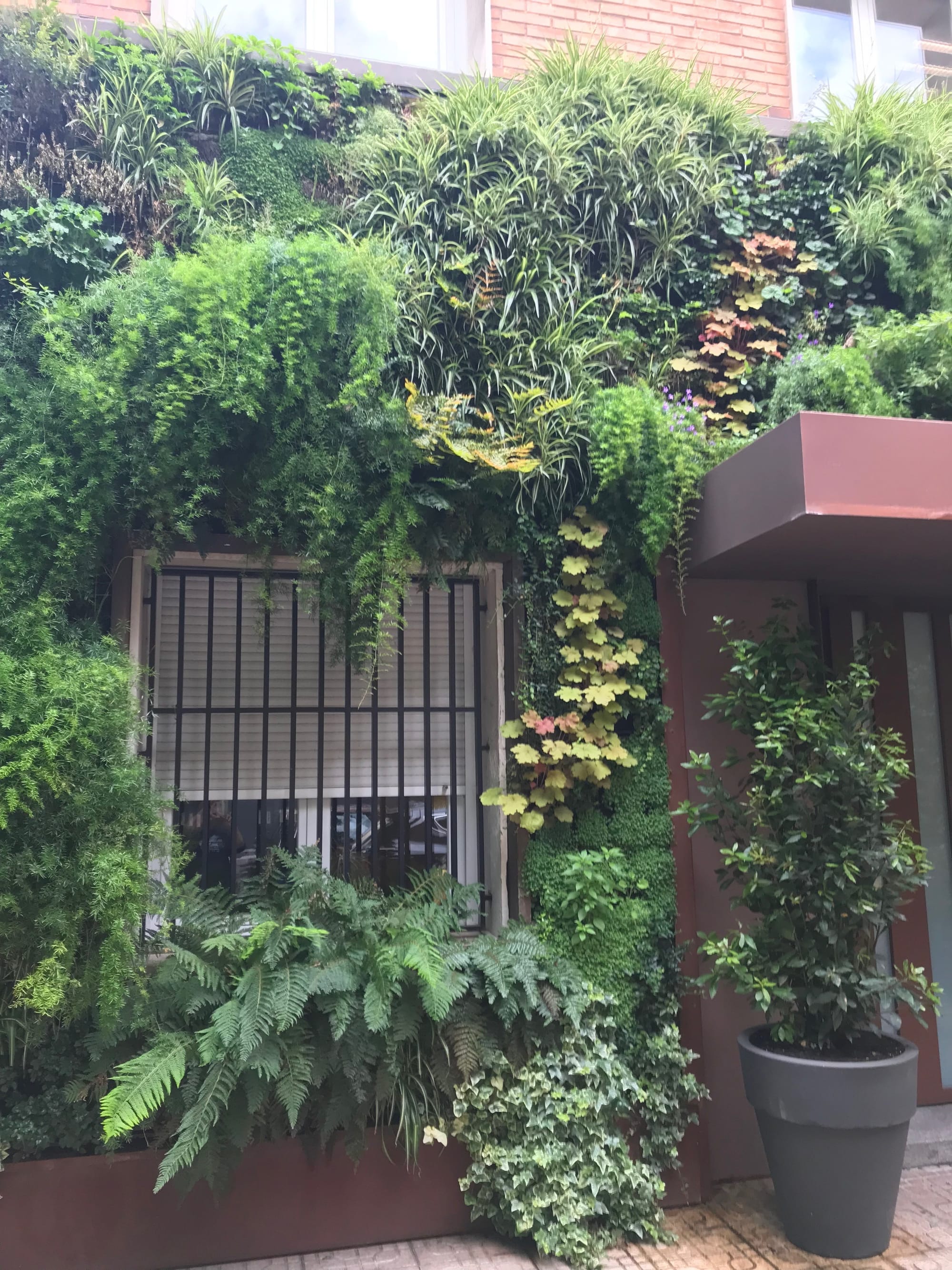 jardines verticales exterior