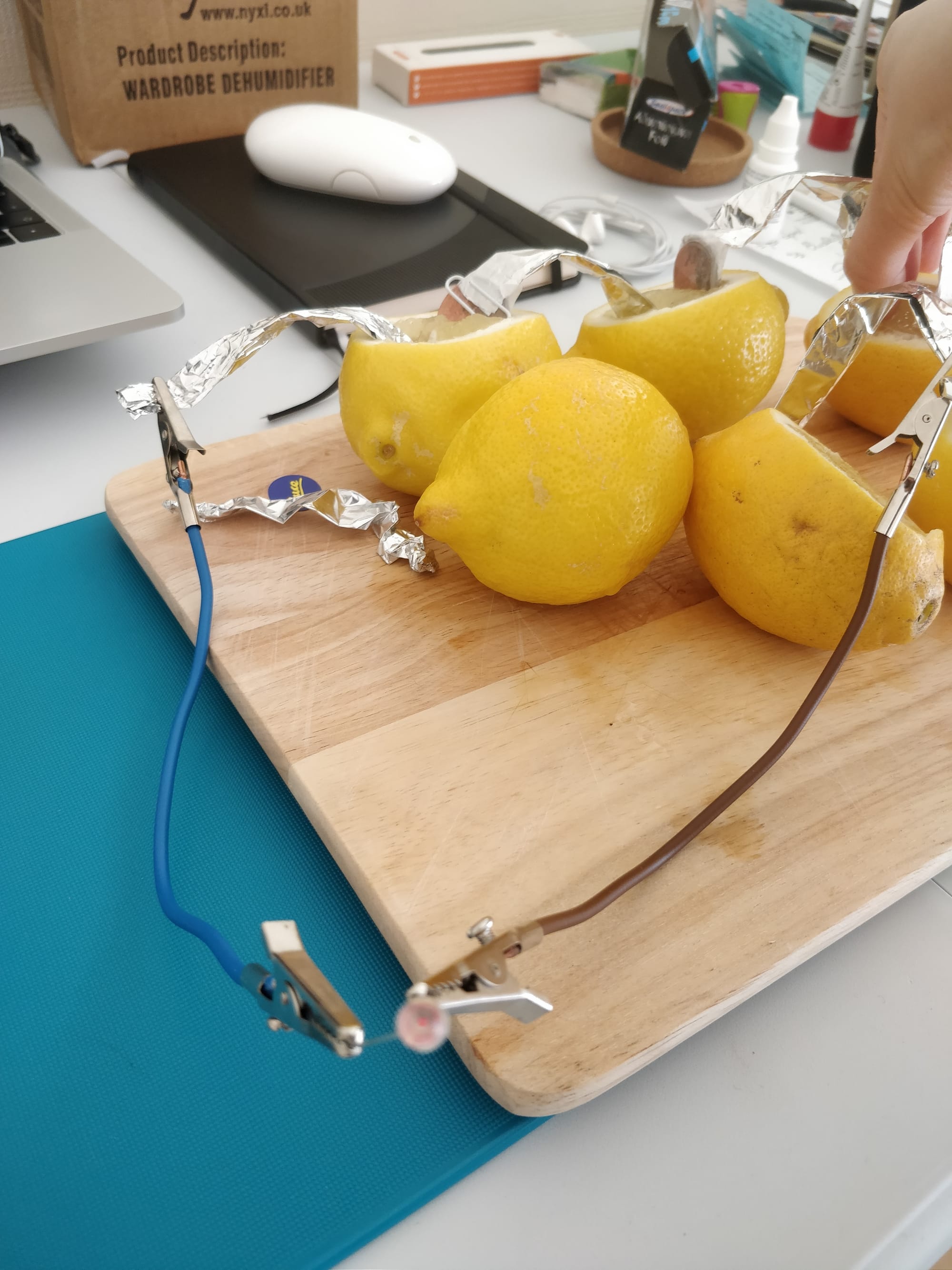 lemon battery research paper pdf