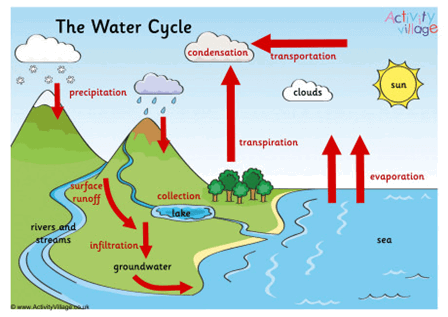 The Water Cycle - Scientist Next Door