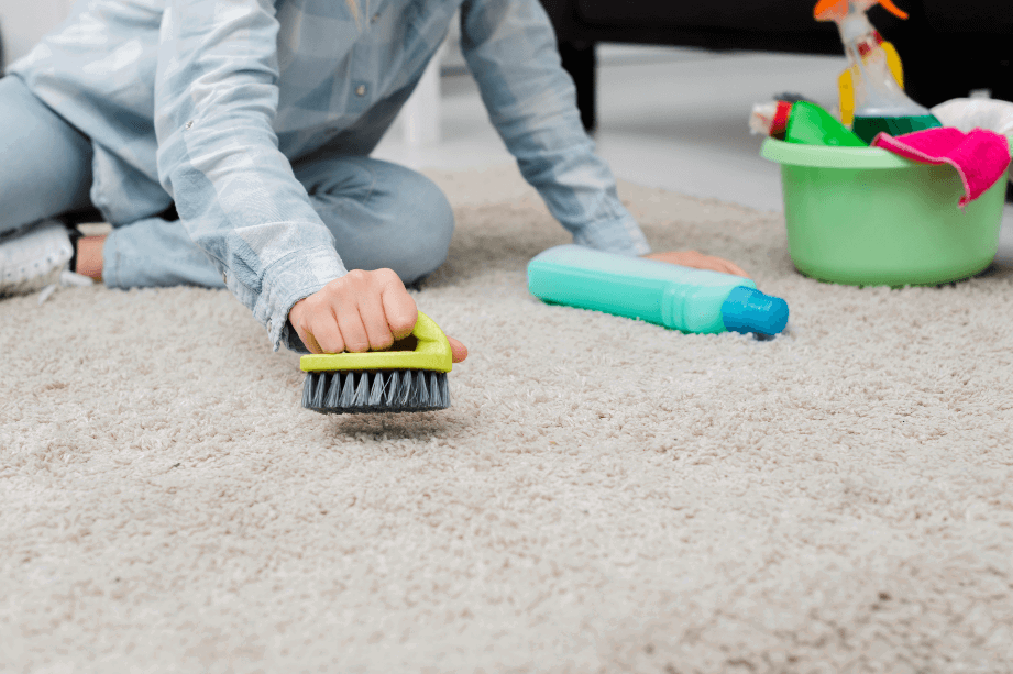 Cleaning Brush must have cleaning essential