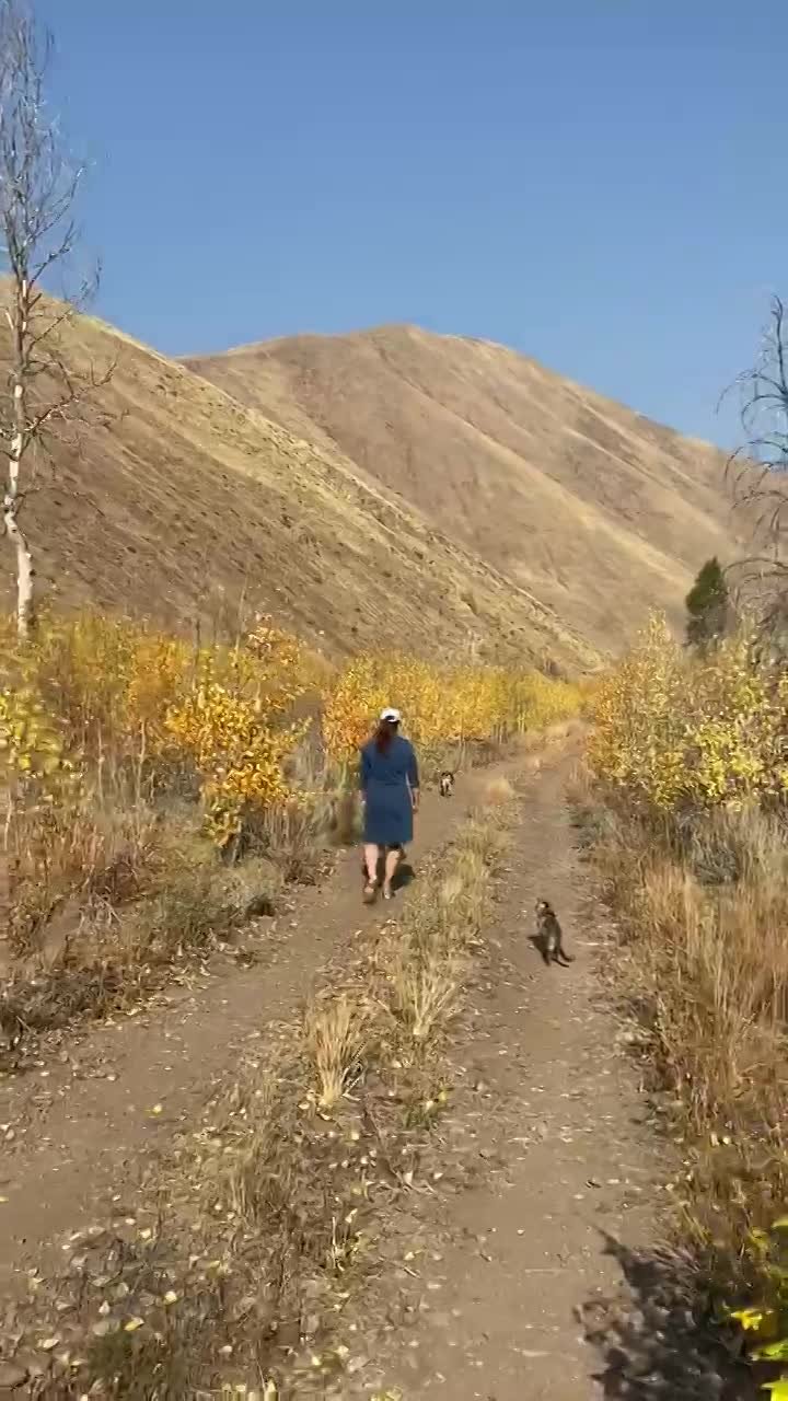 Hiking with Bengals  thumbnail