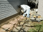 Subterranean Termites Treatment Options