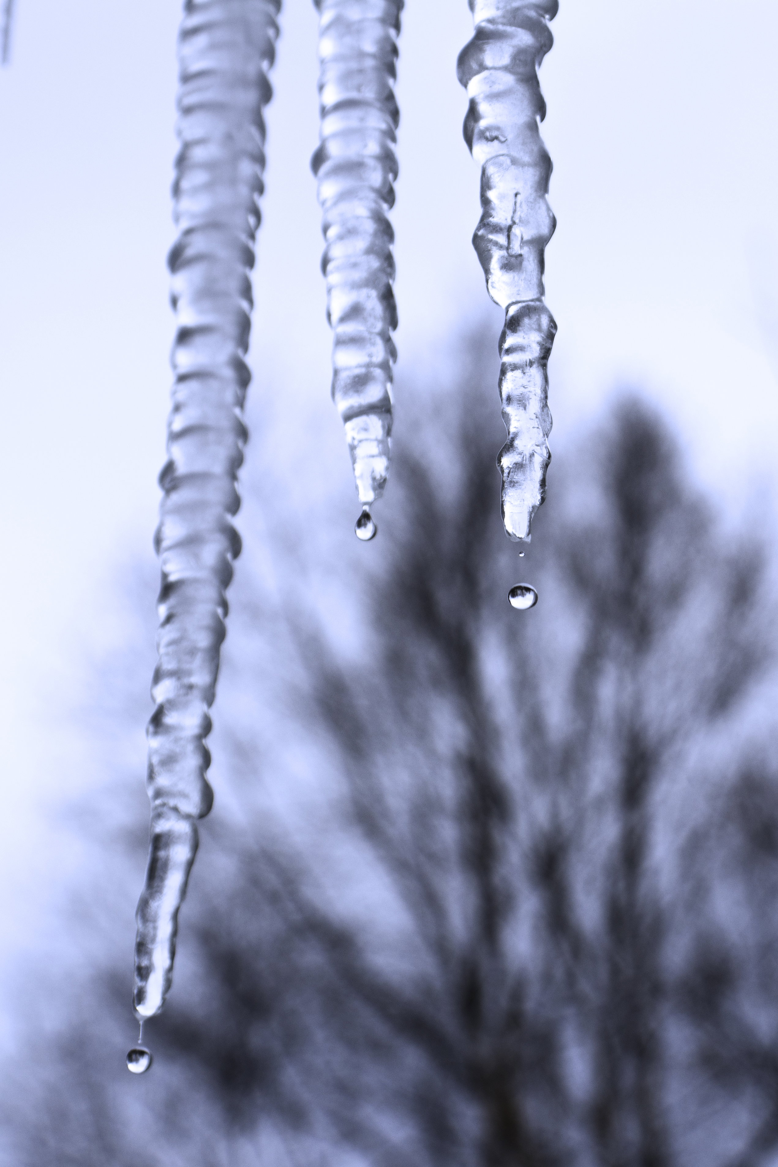 Dripping Icicles, because it's been cloudy since 10/09/2020 and I haven ...