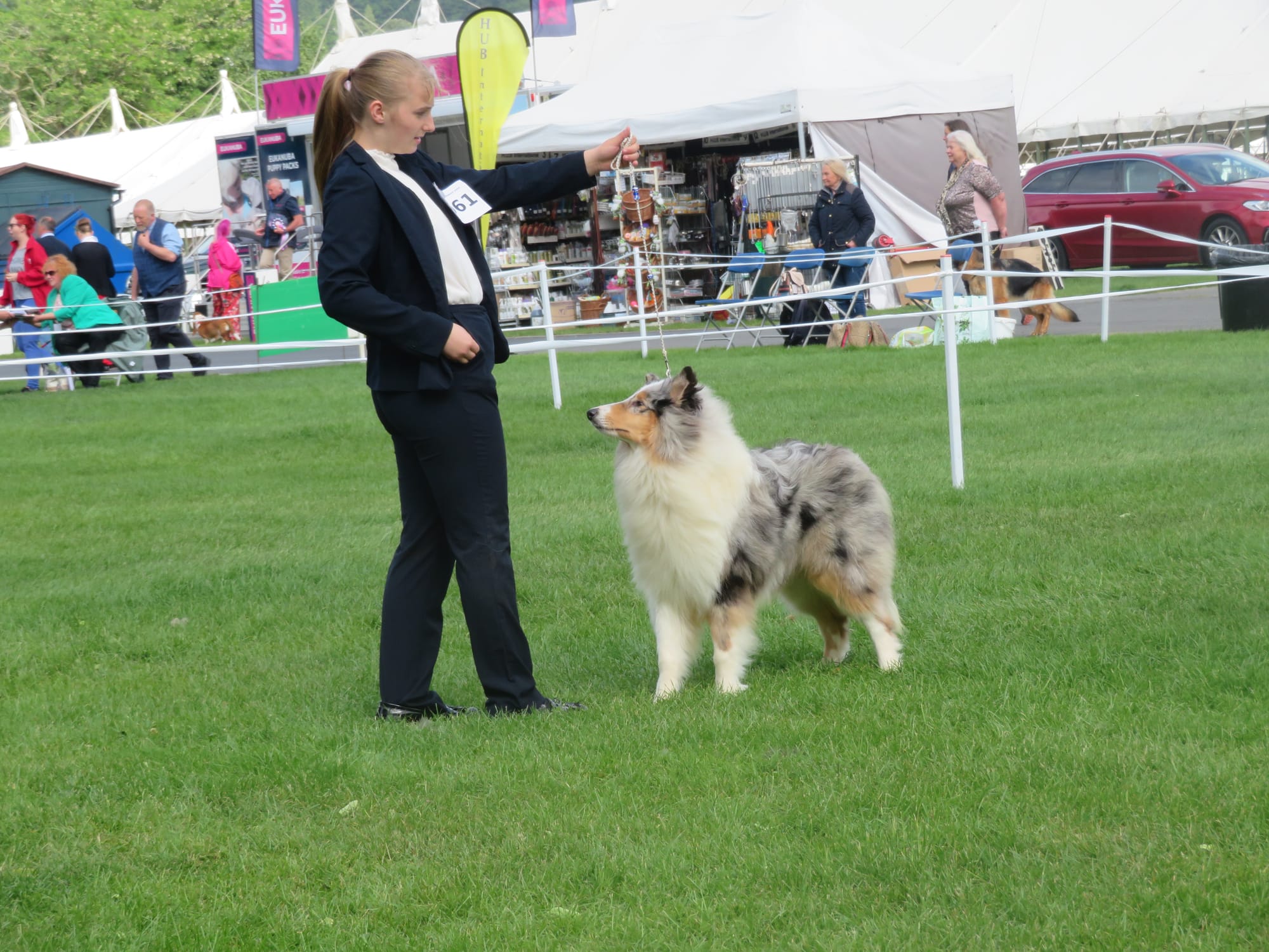 Three counties clearance dog show