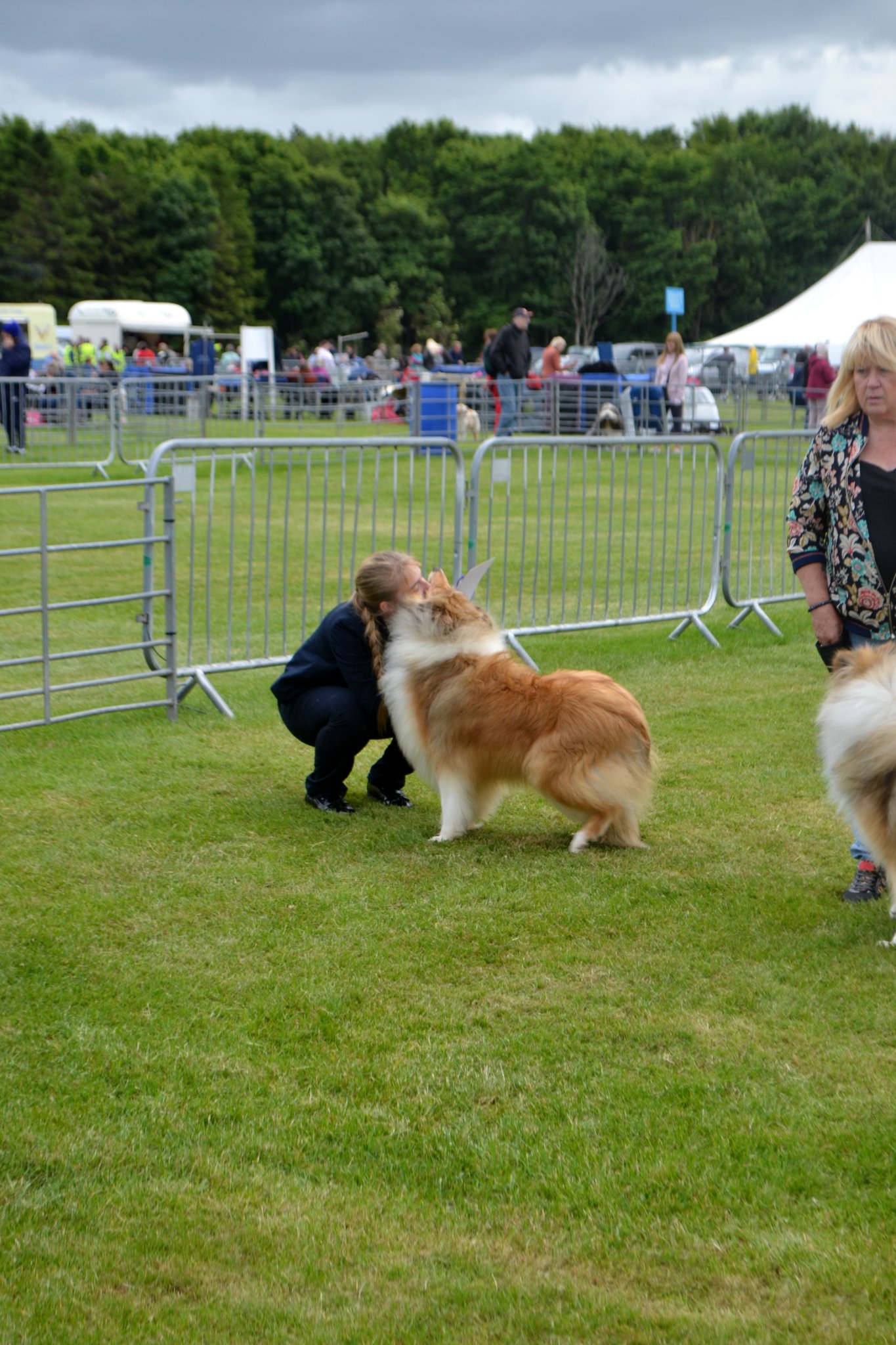 Border union hot sale dog show