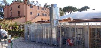 Executive projects and virtual models February 2021