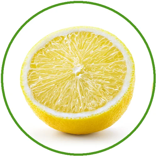 limon.jpg (229 KB)