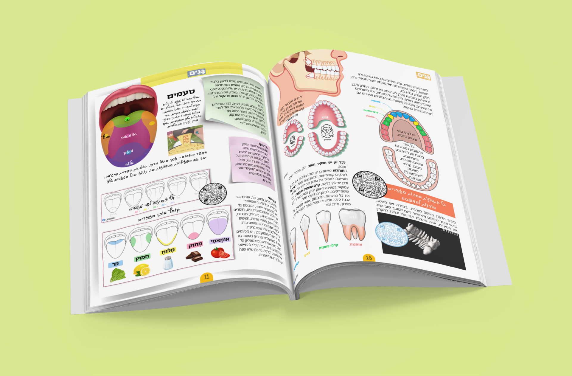 A kit for kindergarten and kindergarten teachers on the subject of the face and senses