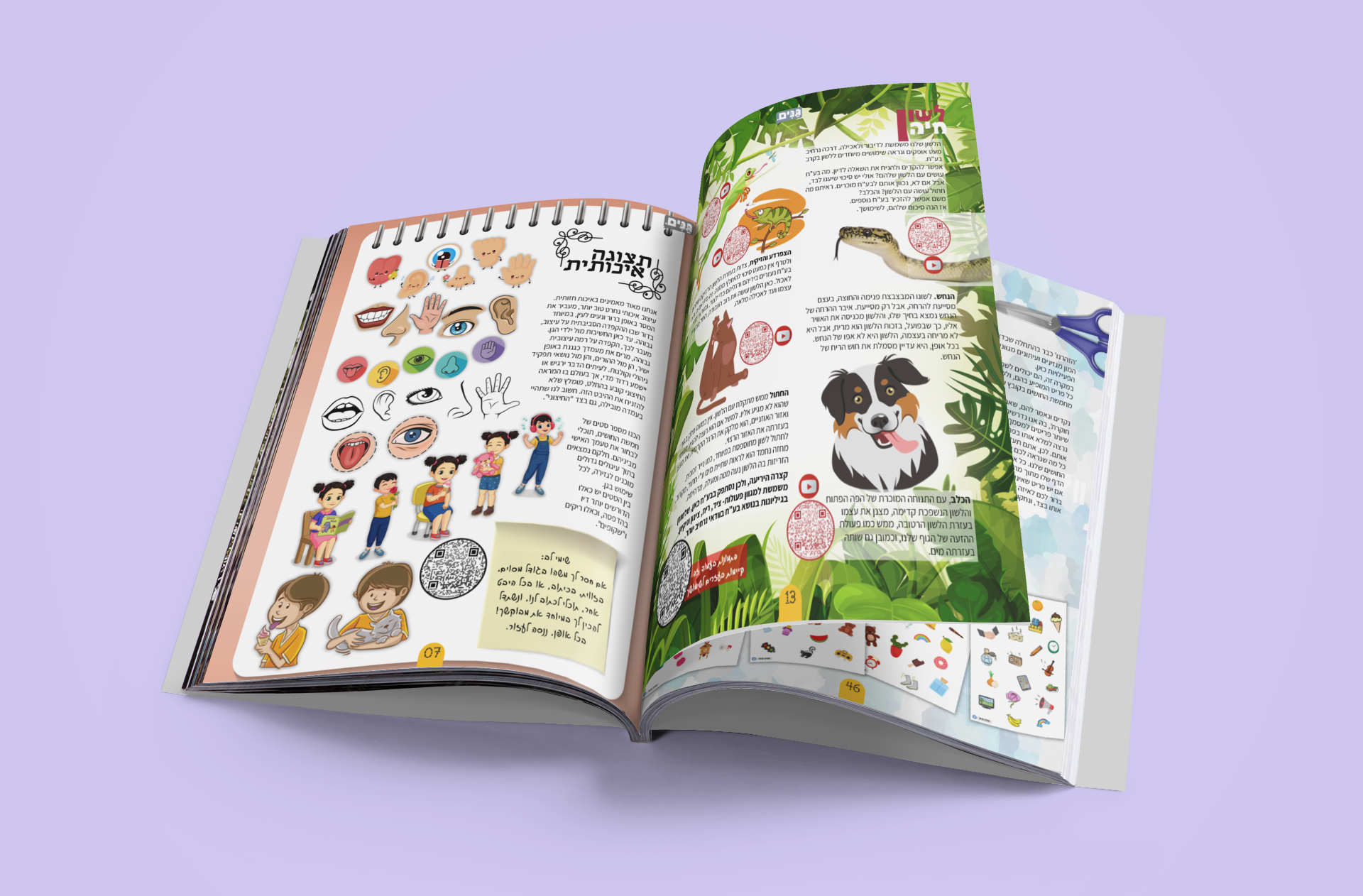 A kit for kindergarten and kindergarten teachers on the subject of the face and senses